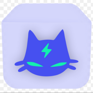 暴喵加速器 Logo